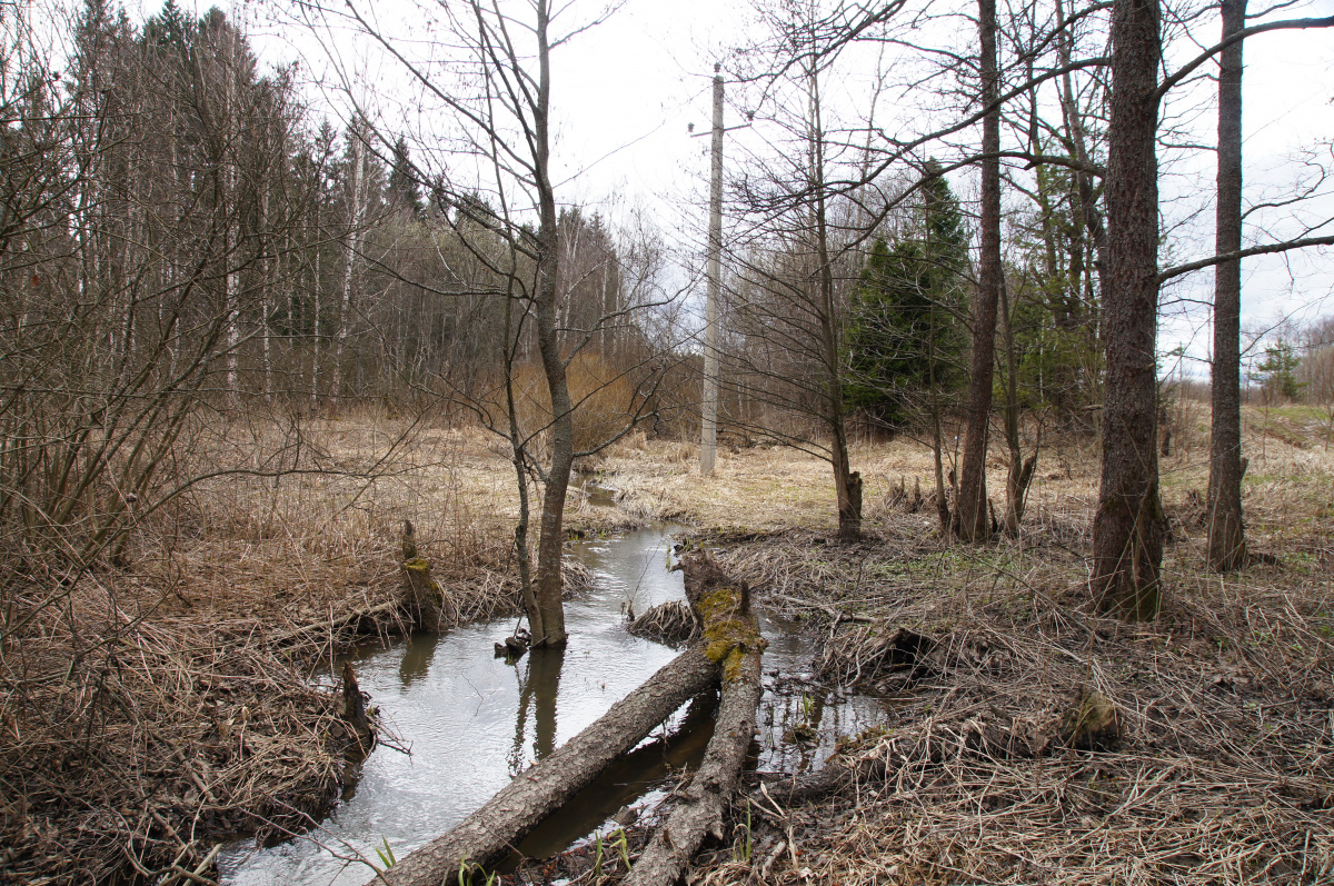 Язовня (приток Пахры)