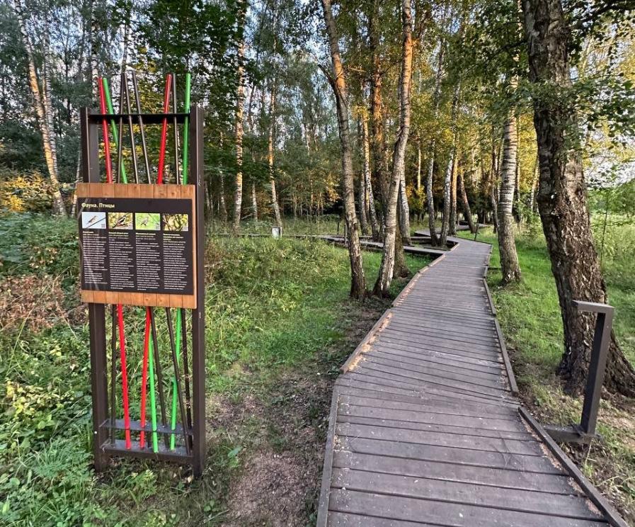Парк Берёзовая роща