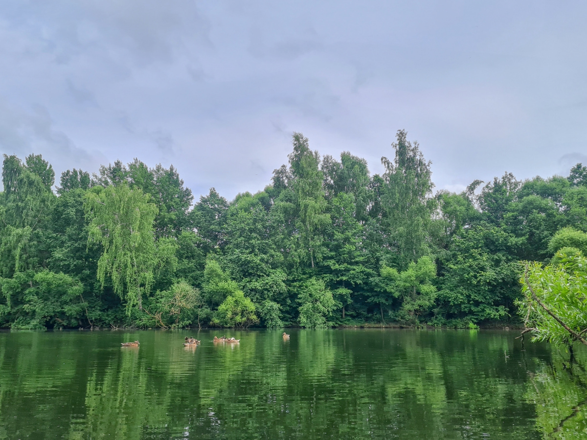 Старый Решетинский пруд (Решетня)